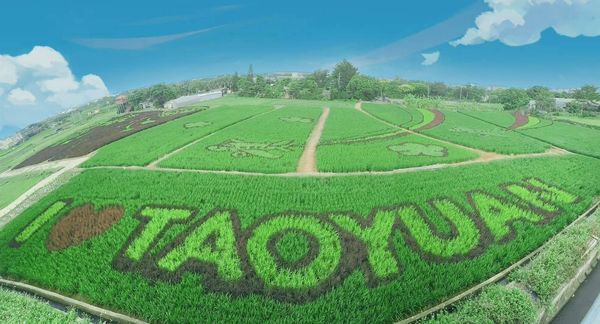 The largest painted rice field in the country, covering a total area of 4 hectares, debuts at the Dayuan Xihai Leisure Agriculture Area in Taoyuan. (Photo source: Taoyuan City Agriculture Bureau website)